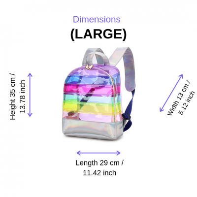 Color-Striped-Transparent-Backpack-large