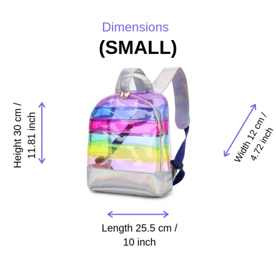 Color-Striped-Transparent-Backpack-small